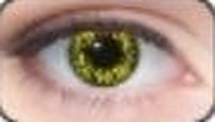 Lente de contacto de Halloween Wolf (Black Yellow)