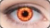 Lente de contacto de Halloween Wolf Eye